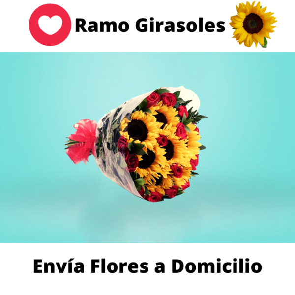 Envía Flores a Domicilio